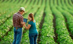 Os principais desafios do agro brasileiro em 2023 em cinco setores