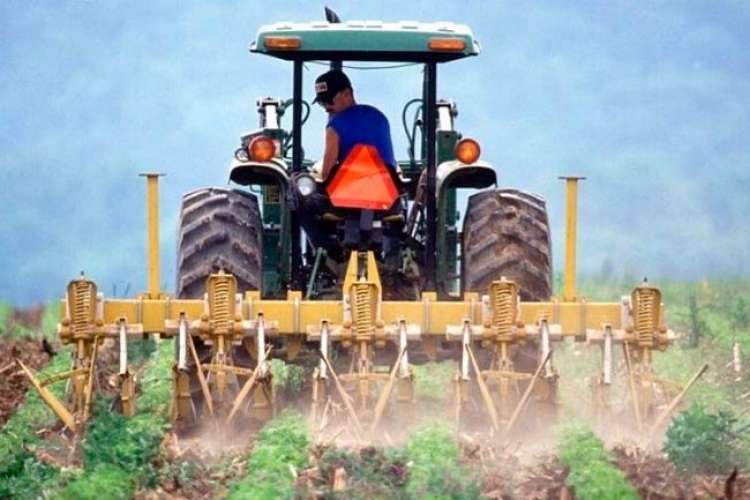 Aprovado estímulo ao empreendedorismo de jovens no campo