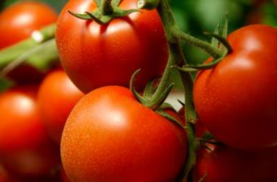 McDonald&#039;s retira tomates dos cardápios na Índia