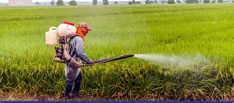 Como preservar a saúde e a segurança no trabalho rural?