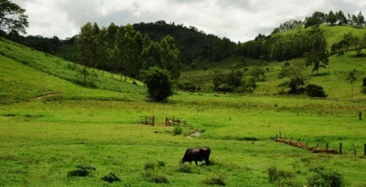 Você viu? Senado aprova projeto de registro de propriedades rurais em cartório