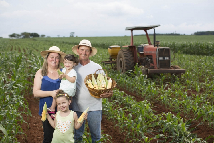 SP: agricultura familiar paulista recebe investimento de R$ 3,8 milhões