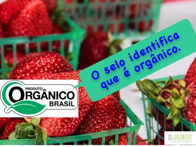 Falsos produtos orgânicos se espalham pelo país; saiba como evitá-los