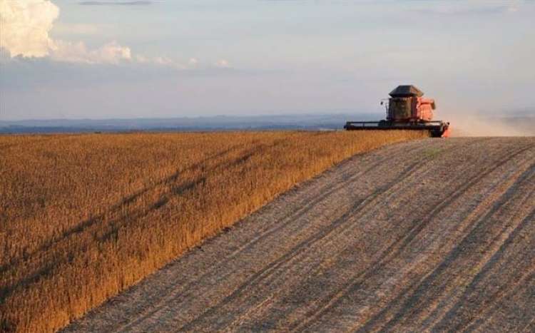 Medindo a incerteza: o risco da produção rural