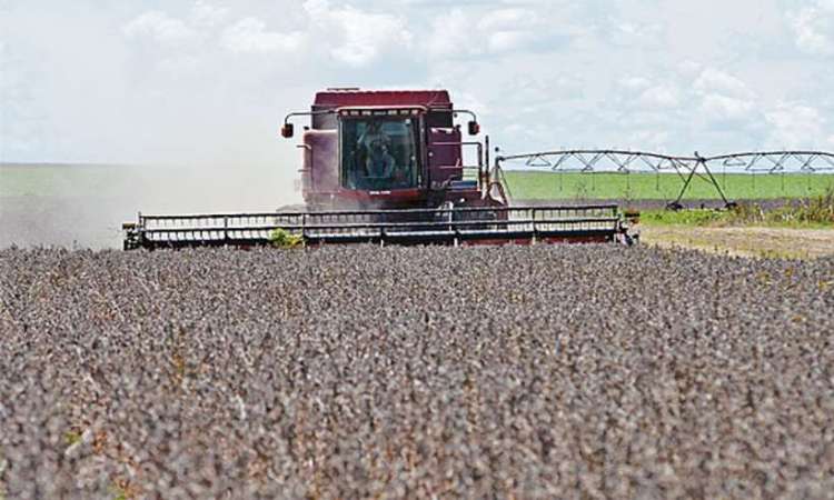 Chuva e crédito: agronegócio e comércio puxam PIB nacional