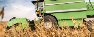 Estimativas da safra agrícola 2019 favorecem manutenção de preços, diz IBGE