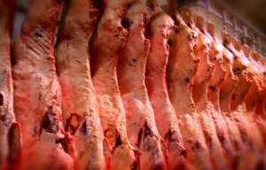 País fatura mais com exportações de carne bovina, suína e de frango em fevereiro