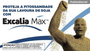 O que é fitossanidade e como ela pode influenciar na cultura da soja no Brasil?