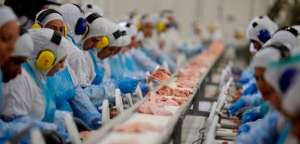 Indústria de carnes de frango e suína deverá bater novos recordes em 2020