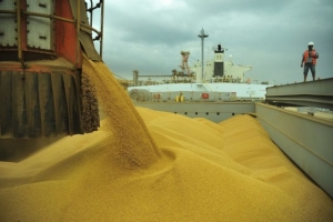 Faturamento da agropecuária deve crescer mais de 5% em 2019