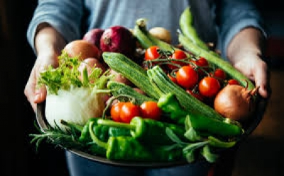 Mercado brasileiro de orgânicos fatura R$ 4 bilhões