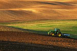 Seguro rural dará mais “folga” ao Agro, diz especialista