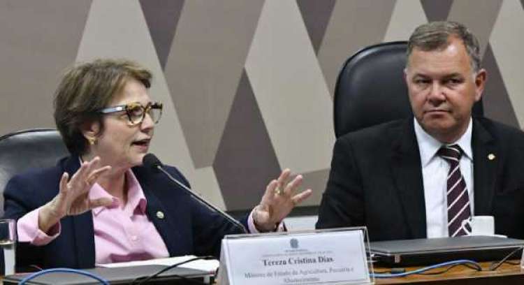 Ministra debate MP da regularização fundiária com parlamentares