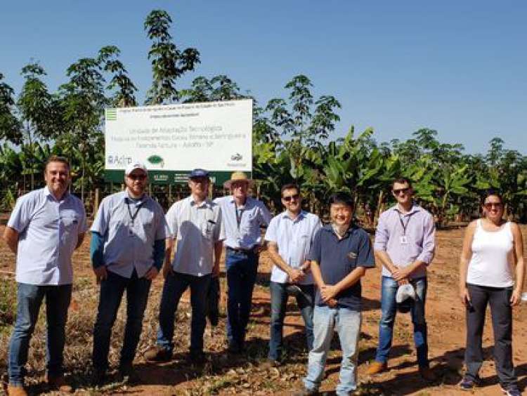 Após o sucesso do lançamento na Agrishow 2022, extensionistas da Coordenadoria de Assistência Técnica Integral (CATI) – órgão responsável pelas ações de assistência técnica e extensão rural (Ater) na Secretaria de Agricultura e Abastecimento – percorrem diversas regiões para atender à demanda de conhecimento técnico sobre o Projeto Cacau SP e trabalham na elaboração de materiais didáticos sobre o tema.