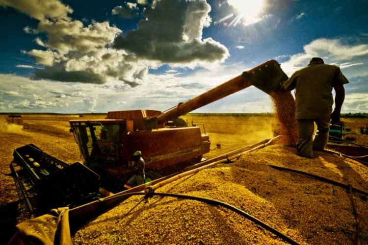 Greve dos caminhoneiros, eleições e clima afetam agropecuária em 2018