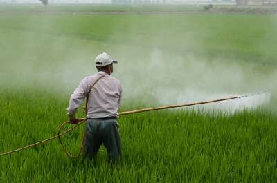 Maior consumidor de agrotóxicos no país, SP possui apenas 80 fiscais em todo o estado