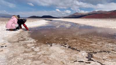 Bactéria “extrema” protege planta da seca e solo pobre