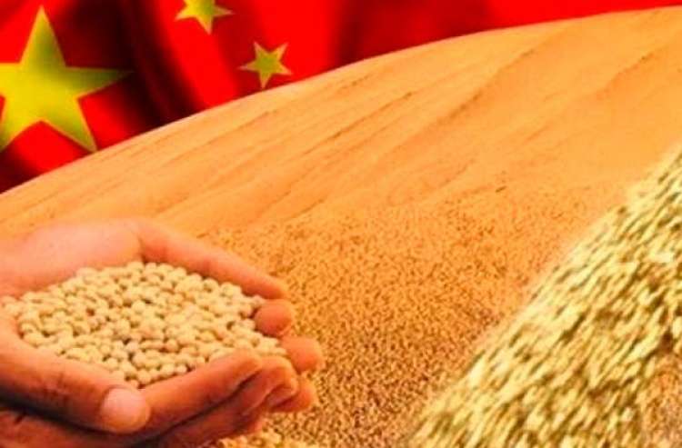 China afrouxa regulamentos de importação de soja