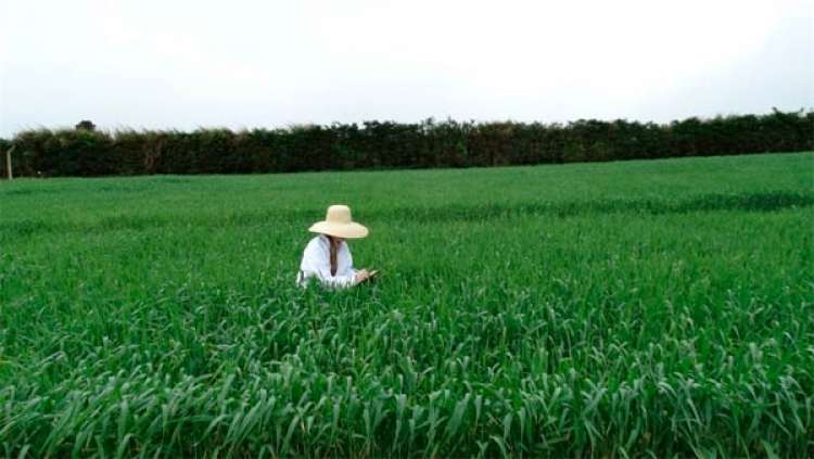 Engenheiros Agrônomos contribuem para desenvolver o agro