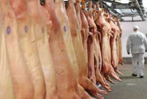 Exportações de carne suína do Brasil aumentam 41% em janeiro e vendas para a China disparam 252%