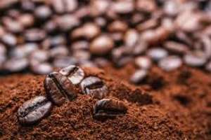 Safra de café deve ter preços próximos da anterior até fim da colheita, diz Cepea