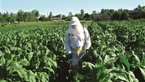 Brasil exporta para Índia programa de manejo seguro de agroquímicos