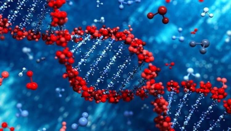 Agricultura favoreceu mutação de genes humanos