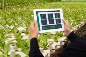 Digitalização pode garantir o futuro da agricultura