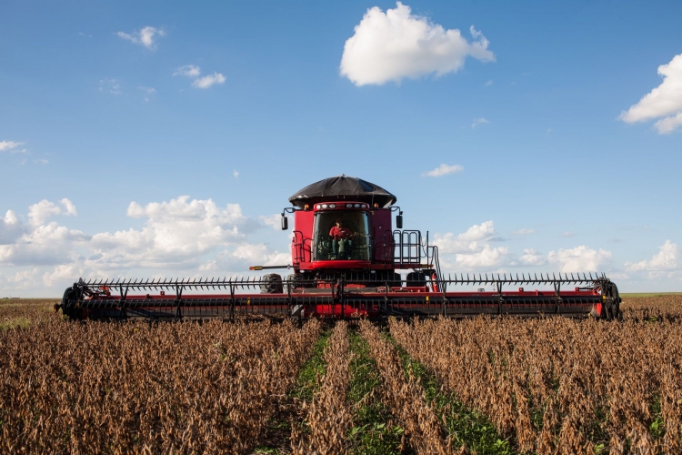 A CRISE REVELA OPORTUNIDADES PARA O AGRONEGÓCIO