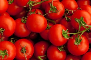 Maturação acelerada do tomate faz preço da mercadoria cair
