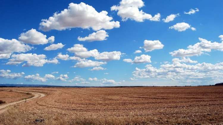 Constatação foi feita no estudo &quot;Top 10 riscos e oportunidades para o Agro&quot;